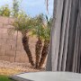 IMG_20260916_070944