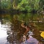 IMG_20260916_135745