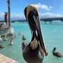 IMG_20260918_140607