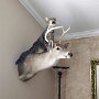 IMG_20260924_135945