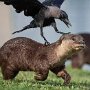 IMG_20260928_134848