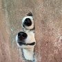 IMG_20260929_171923