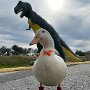 IMG_20261004_143635