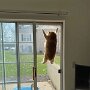 IMG_20261006_132055