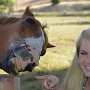 IMG_20261007_161153