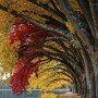 IMG_20261009_140740