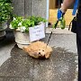 IMG_20261010_144803