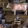 IMG_20261010_145015