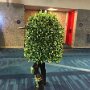 IMG_20261018_164931
