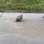 IMG_20261021_071534