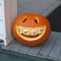 IMG_20261022_135502