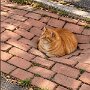 IMG_20261022_135829