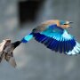IMG_20261025_152650