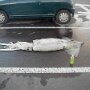 IMG_20261029_135948