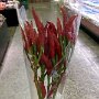 IMG_20261001_134956