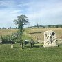 IMG_20260306_070627