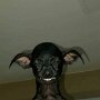 IMG_20260308_084647