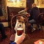 IMG_20260310_073336