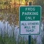 IMG_20260310_073452