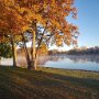 IMG_20260312_071614
