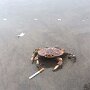 IMG_20260314_072321
