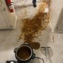 IMG_20260315_074811
