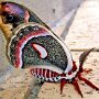 IMG_20260315_074817