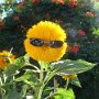 IMG_20260317_070700