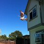 IMG_20260317_070735