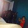 IMG_20260317_070802