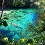 IMG_20260318_073558