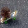 IMG_20260321_061251