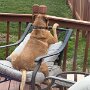 IMG_20260321_061450
