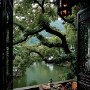IMG_20260321_061547
