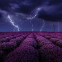 IMG_20260322_094057
