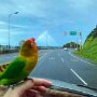 IMG_20260324_074320