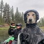 IMG_20260324_074717