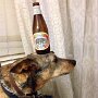 IMG_20260326_070126