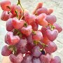 IMG_20260327_064703