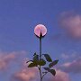 IMG_20260327_064751