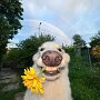 IMG_20260328_070646