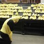 IMG_20260328_070951