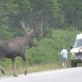 IMG_20260329_071825