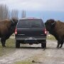 IMG_20260406_074434
