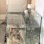 IMG_20260407_064821