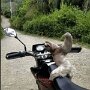 IMG_20260407_064934