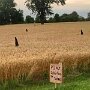 IMG_20260409_070537