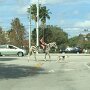 IMG_20260409_070848
