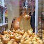 IMG_20260416_070600