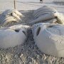 IMG_20260417_070642